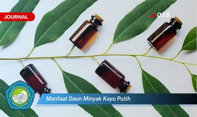 Ketahui 8 Manfaat Daun Minyak Kayu Putih untuk Kesehatan Tubuh dan Pernapasan