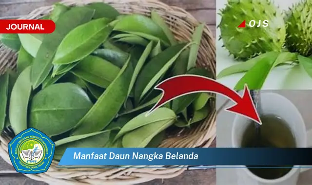 Ketahui 8 Manfaat Daun Nangka Belanda untuk Kesehatan Anda