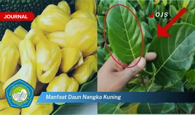 Ketahui 10 Manfaat Daun Nangka Kuning untuk Kesehatan Anda