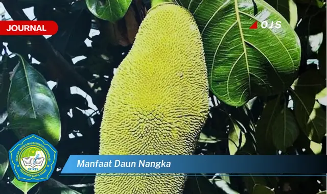 Ketahui 9 Manfaat Daun Nangka untuk Kesehatan, Dari Mengatasi Kolesterol Hingga Diabetes