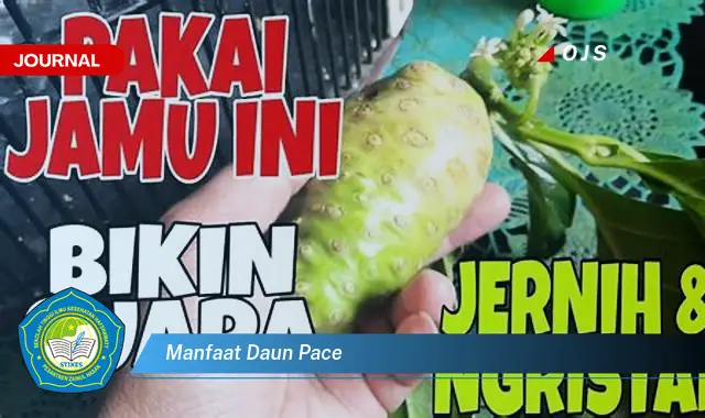 Ketahui 10 Manfaat Daun Pace untuk Kesehatan, Kecantikan, dan Cara Mengolahnya