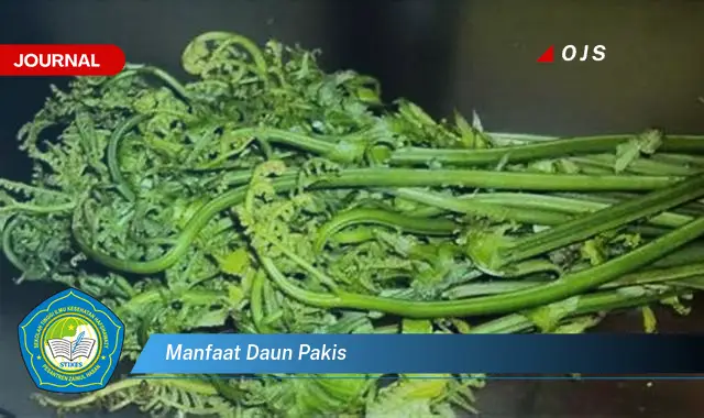 Ketahui 10 Manfaat Daun Pakis untuk Kesehatan, Kecantikan, dan Masakan