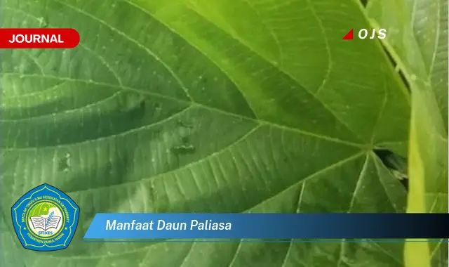 manfaat daun paliasa