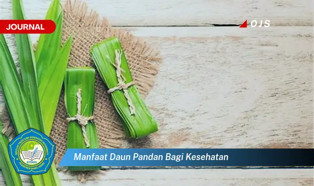 manfaat daun pandan bagi kesehatan