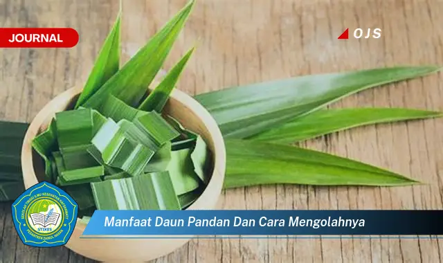 manfaat daun pandan dan cara mengolahnya