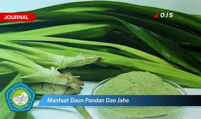 manfaat daun pandan dan jahe