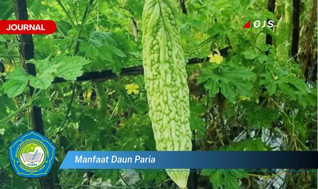 manfaat daun paria