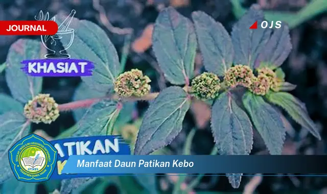 Ketahui 10 Manfaat Daun Patikan Kebo untuk Kesehatan Anda