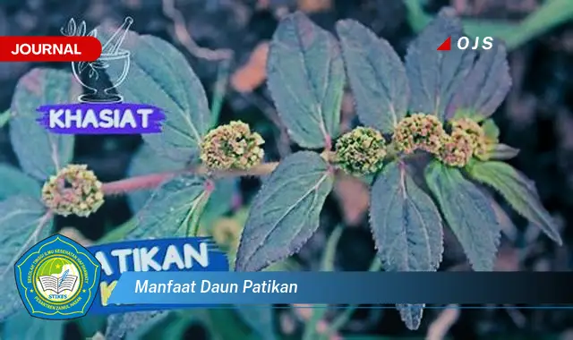 manfaat daun patikan