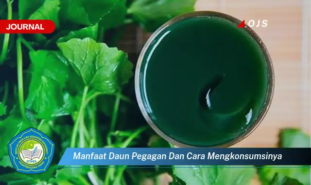 Ketahui 10 Manfaat Daun Pegagan untuk Kesehatan dan Cara Mengkonsumsinya dengan Benar