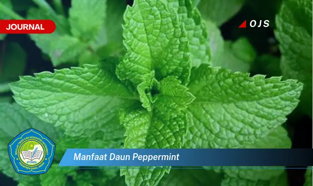 Ketahui 9 Manfaat Daun Peppermint untuk Kesehatan Tubuh Anda