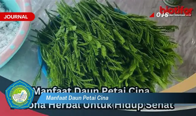 Ketahui 9 Manfaat Daun Petai Cina untuk Kesehatan dan Kecantikan