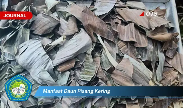 manfaat daun pisang kering