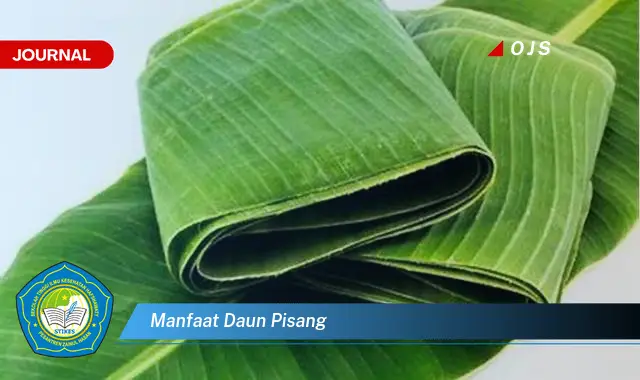 manfaat daun pisang