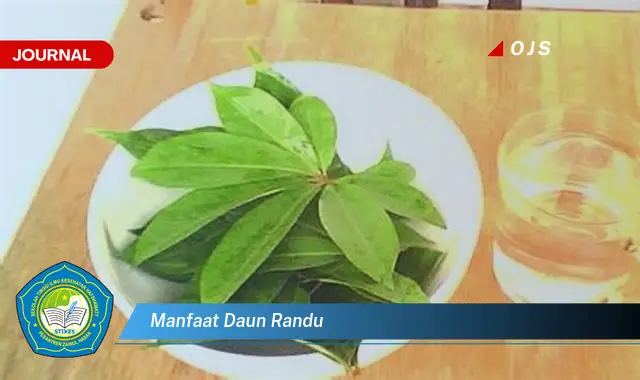 manfaat daun randu