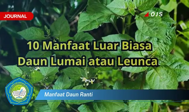 Ketahui 10 Manfaat Daun Ranti untuk Kesehatan dan Kecantikan