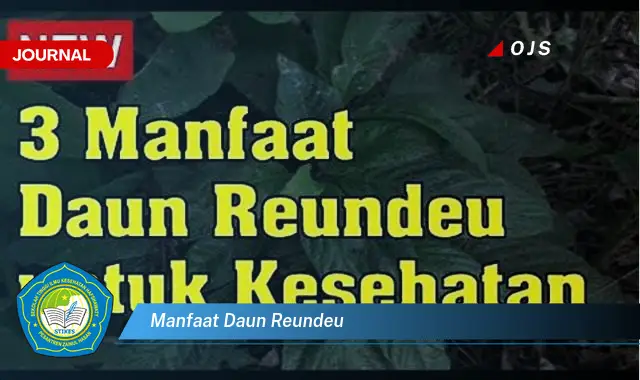 manfaat daun reundeu