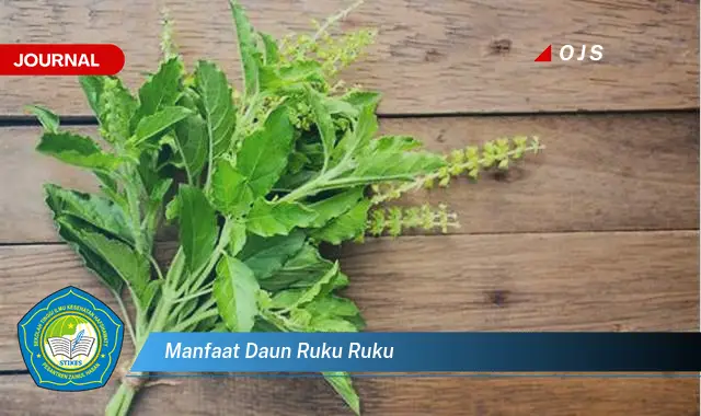 manfaat daun ruku ruku