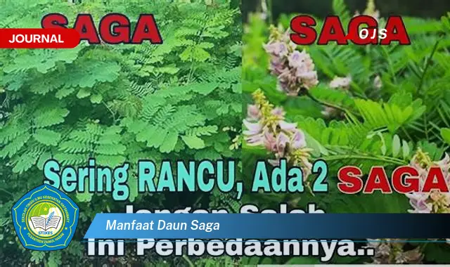 manfaat daun saga