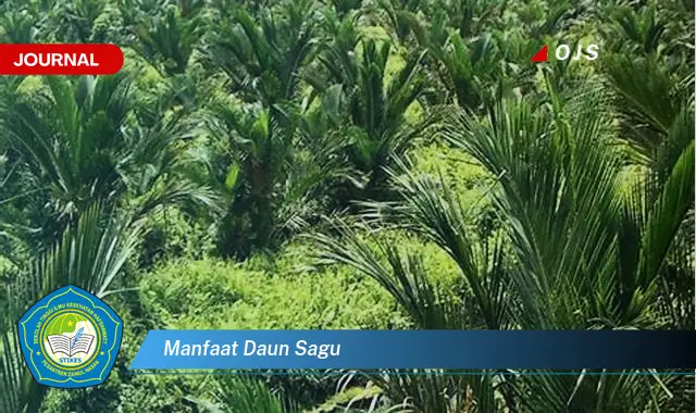 manfaat daun sagu