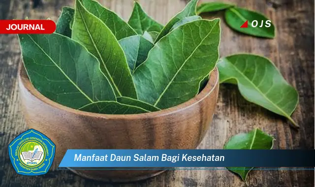 Ketahui 9 Manfaat Daun Salam bagi Kesehatan,  Tips dan Cara Penggunaan untuk Kesehatan Optimal