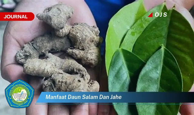 manfaat daun salam dan jahe