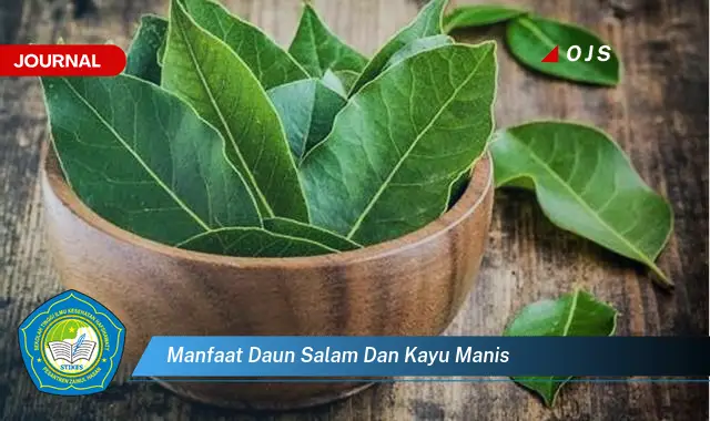 manfaat daun salam dan kayu manis