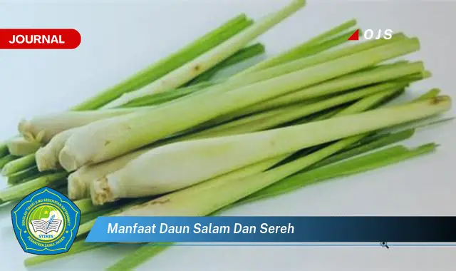 manfaat daun salam dan sereh