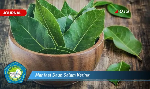 manfaat daun salam kering