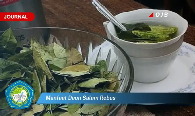 manfaat daun salam rebus