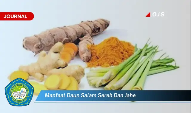 manfaat daun salam sereh dan jahe