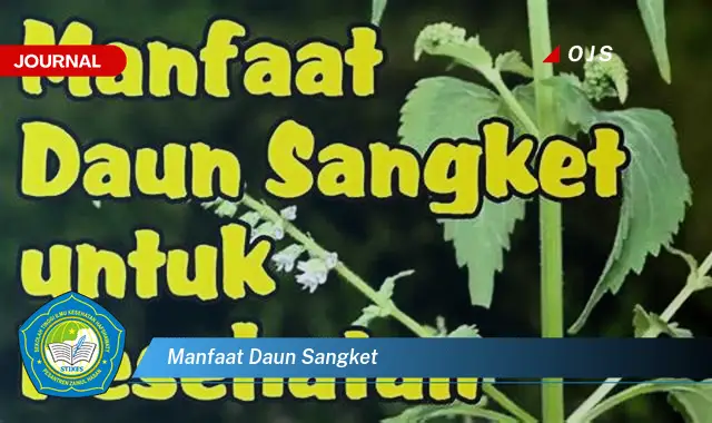 manfaat daun sangket