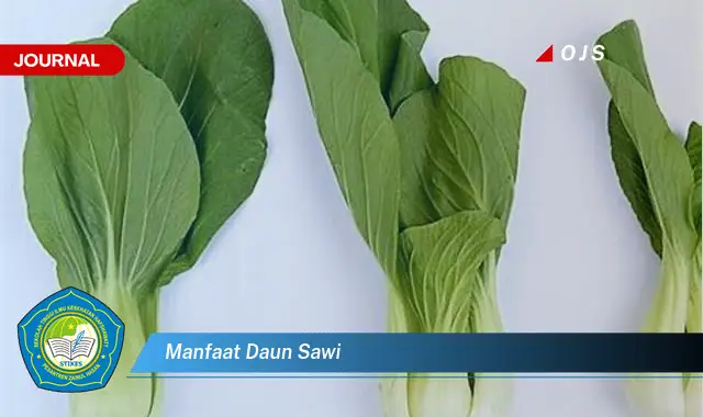 manfaat daun sawi