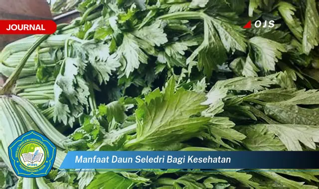 manfaat daun seledri bagi kesehatan