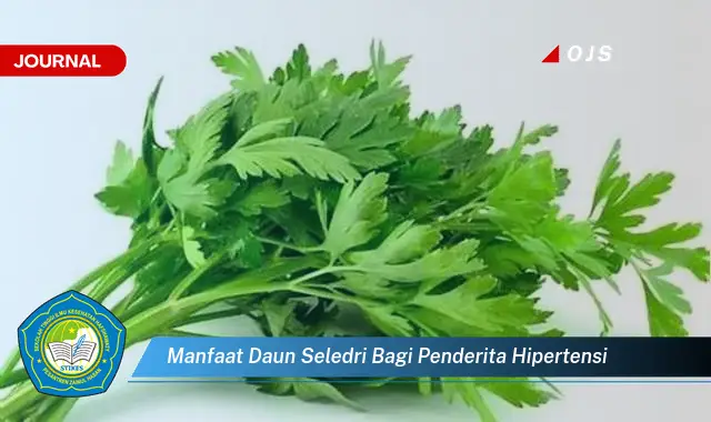 manfaat daun seledri bagi penderita hipertensi