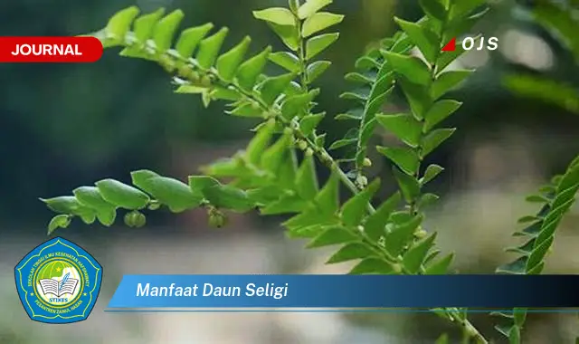 manfaat daun seligi