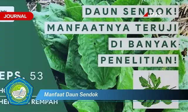 manfaat daun sendok