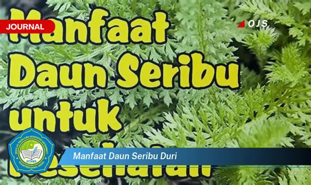 manfaat daun seribu duri