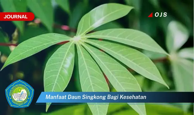 manfaat daun singkong bagi kesehatan