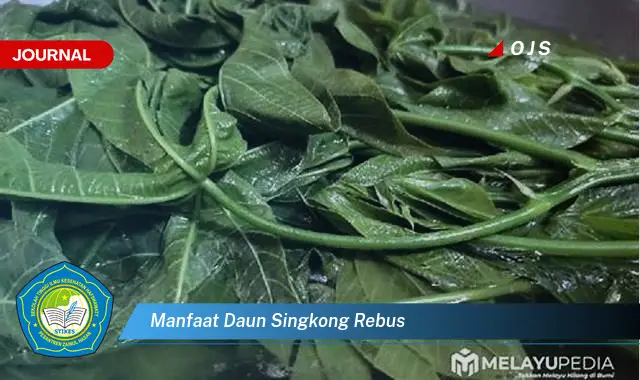 manfaat daun singkong rebus