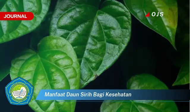 manfaat daun sirih bagi kesehatan