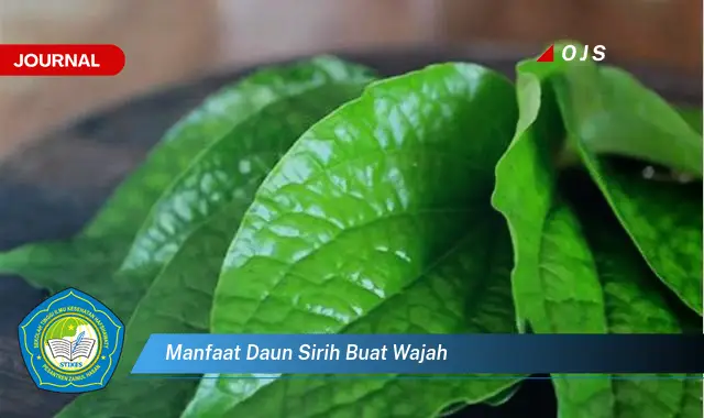 manfaat daun sirih buat wajah