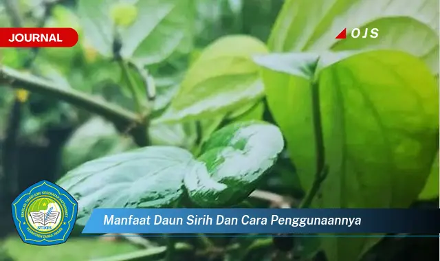 Ketahui 10 Manfaat Daun Sirih untuk Kesehatan dan Kecantikan, Panduan Lengkap Cara Penggunaannya