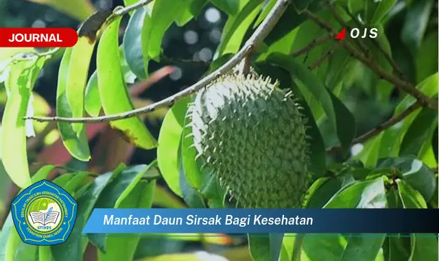 manfaat daun sirsak bagi kesehatan