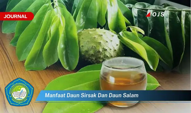 manfaat daun sirsak dan daun salam