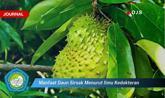 manfaat daun sirsak menurut ilmu kedokteran