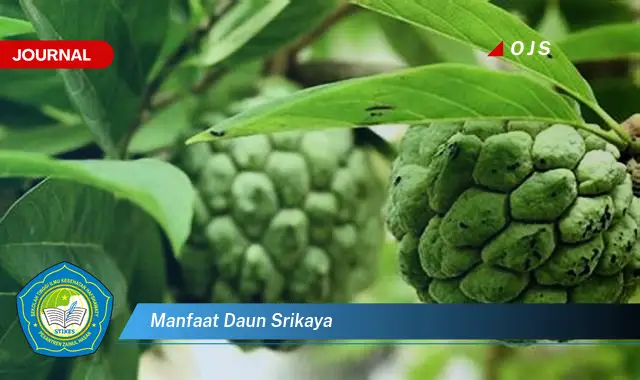 manfaat daun srikaya