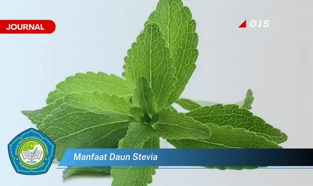 manfaat daun stevia