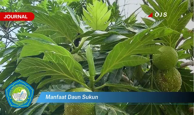 manfaat daun sukun