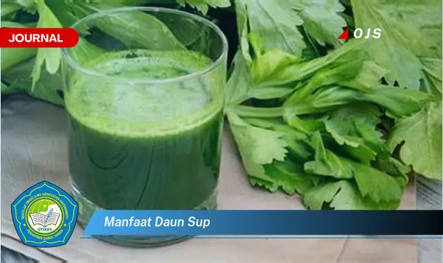 manfaat daun sup